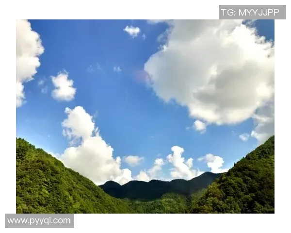 羽毛球的心灵之旅:深入广州羽毛球队心理素质的秘密探讨 羽毛球的心灵之旅:深入广州羽毛球队心理素质的秘密探讨