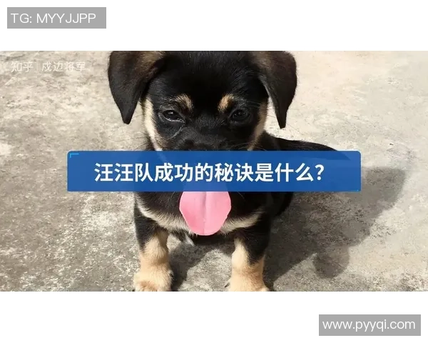 张强专访：探寻足球成功背后的秘密与智慧